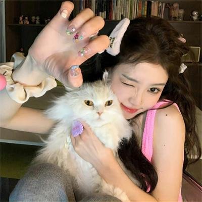 戴帽子的猫